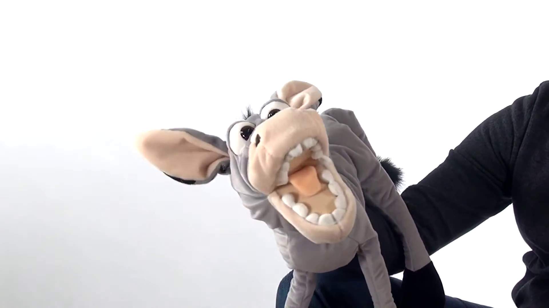 Video 2: Living Puppets hand puppet Fridulin the donkey