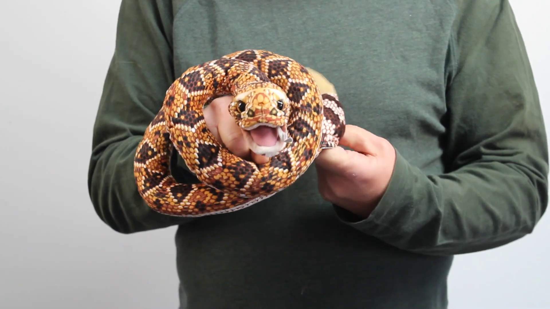 Video 2: Folkmanis riesige Fingerpuppe Klapperschlange