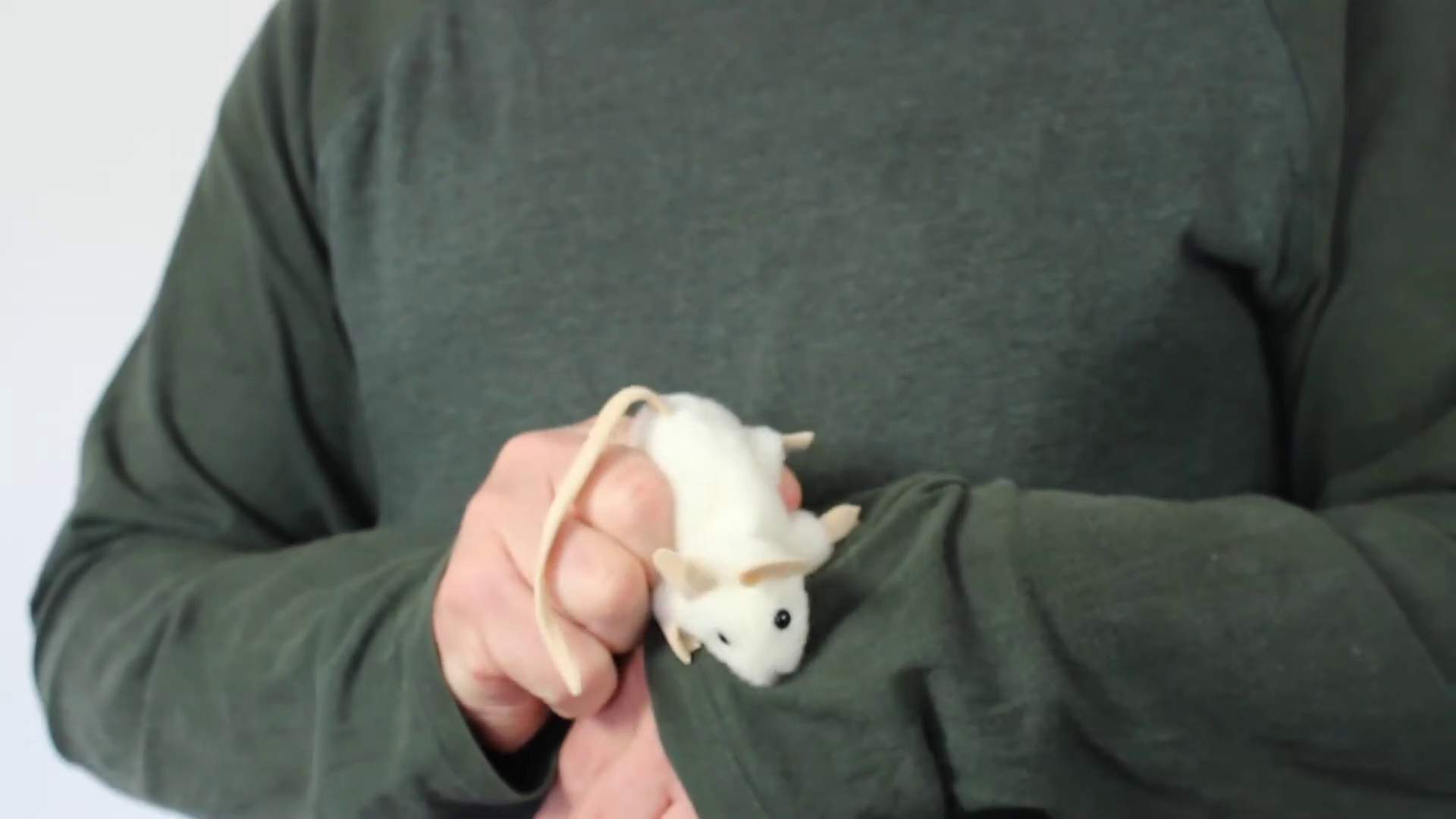 Video 1: Folkmanis Fingerpuppe mini weiße Maus