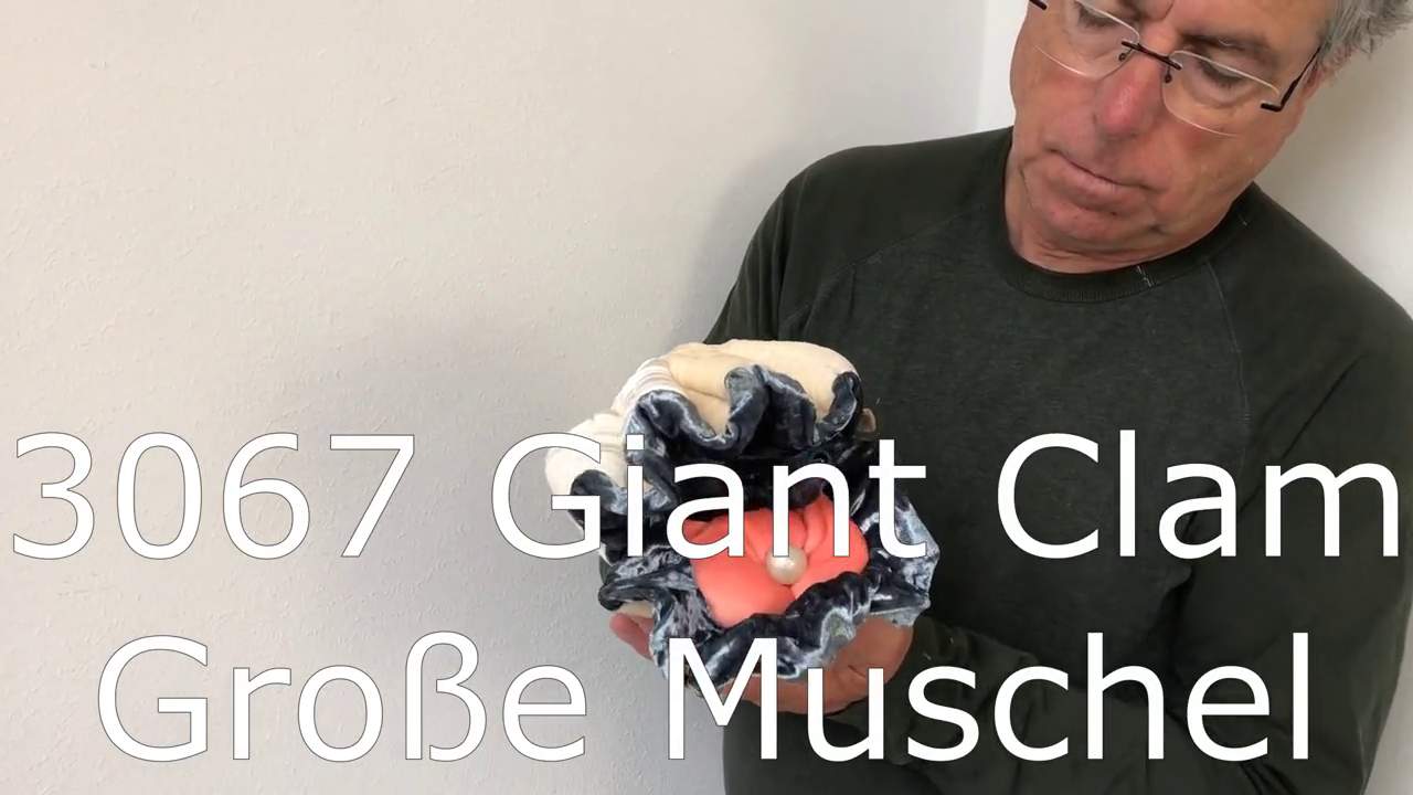 Video 2: Folkmanis Handpuppe große Muschel