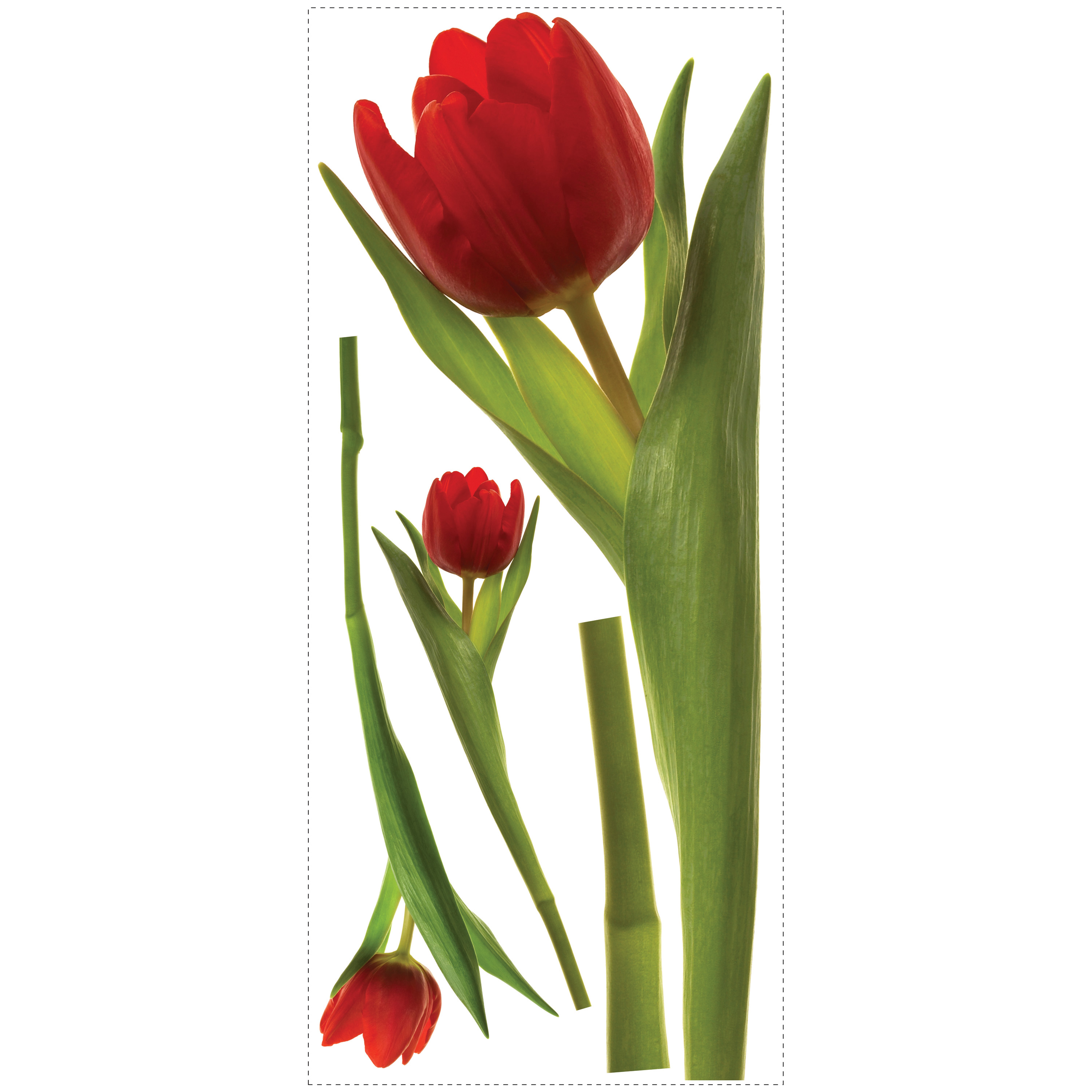 RoomMates Wandbild Tulip, Klebebogen mit fotorealistischen roten Tulpen- und Blattmotiven auf weißem Untergrund