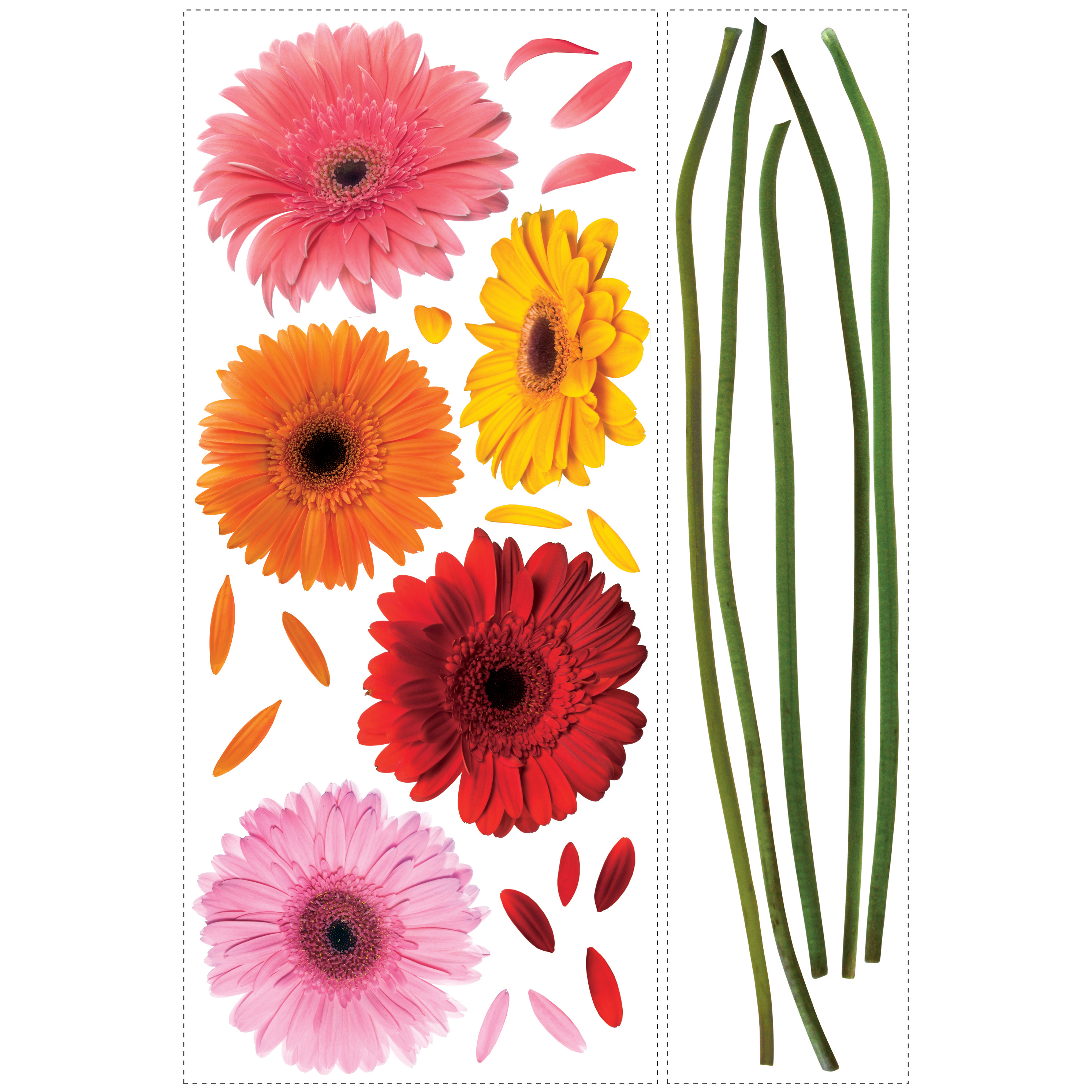 RoomMates wall decal Gerber Daisies, decal sheet with photorealistic gerbera flowers and individual stems on a white background