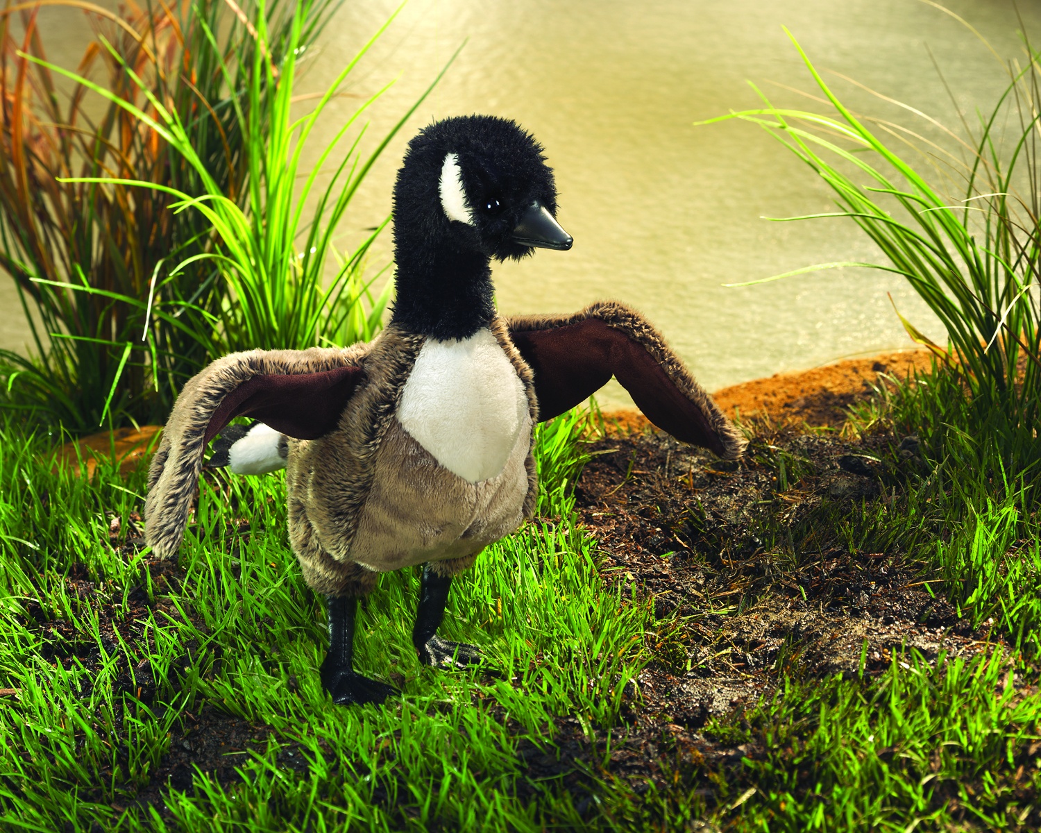 Folkmanis Handpuppe Kanada-Gans mit schwarzem Hals, weißem Wangenfleck und ausgebreiteten Flügeln, stehend am Ufer