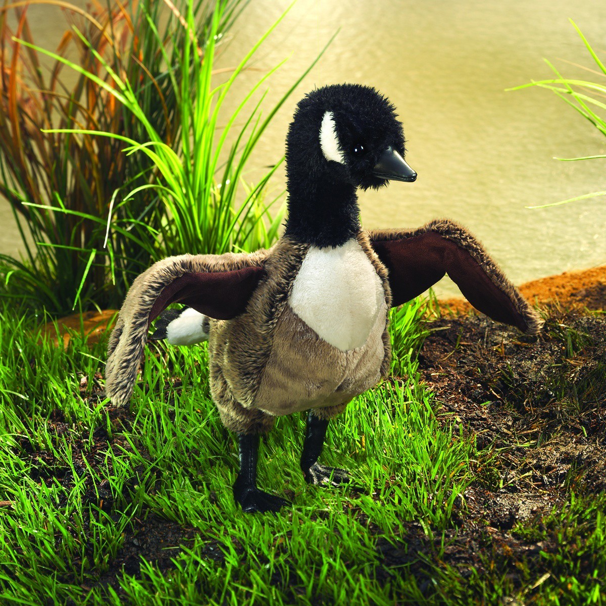 Folkmanis Handpuppe Kanada-Gans mit schwarzem Hals, weißem Wangenfleck und ausgebreiteten Flügeln, stehend am Ufer
