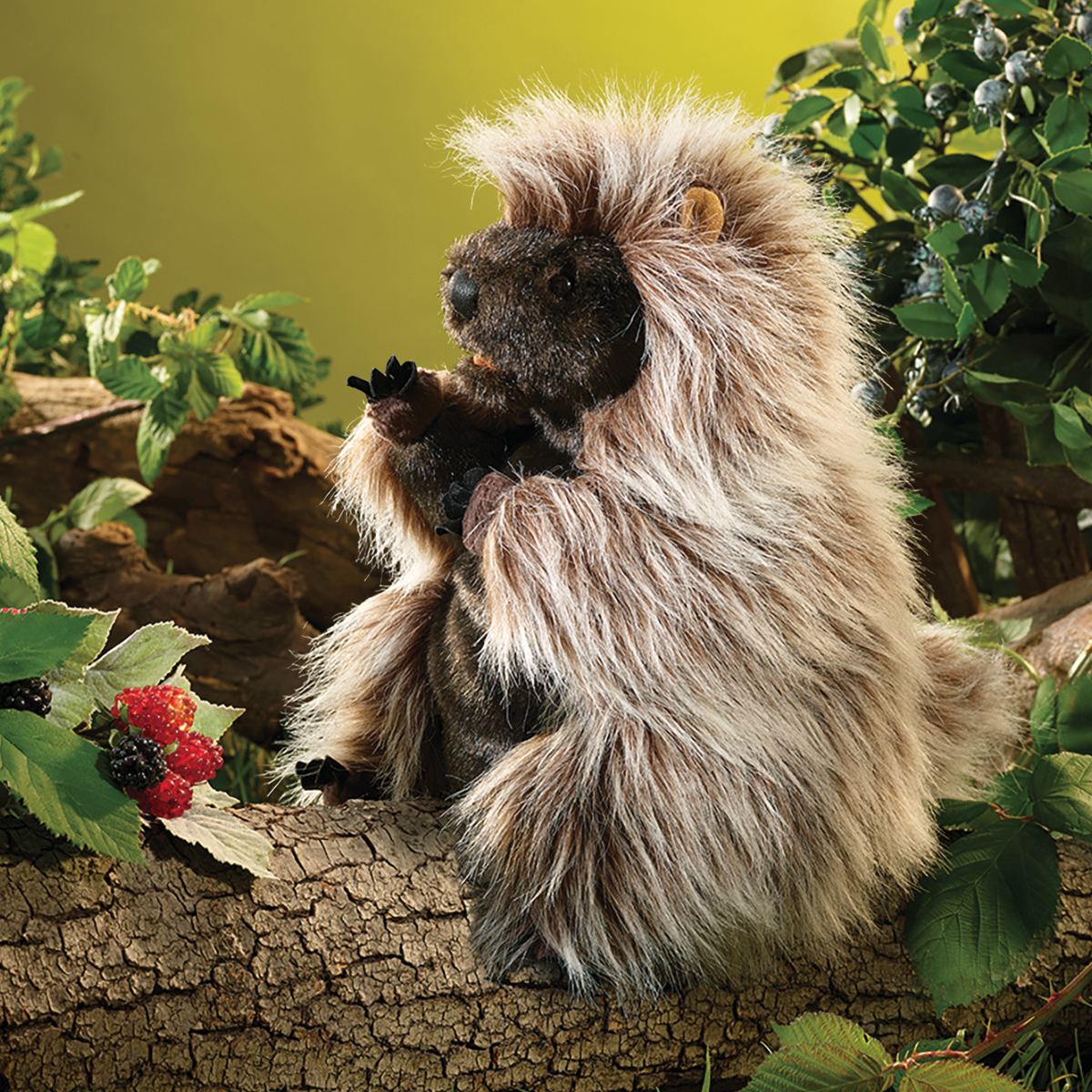 Folkmanis Handpuppe stehendes Stachelschwein sitzt auf einem Ast zwischen Beeren, die Vorderpfoten am Maul.