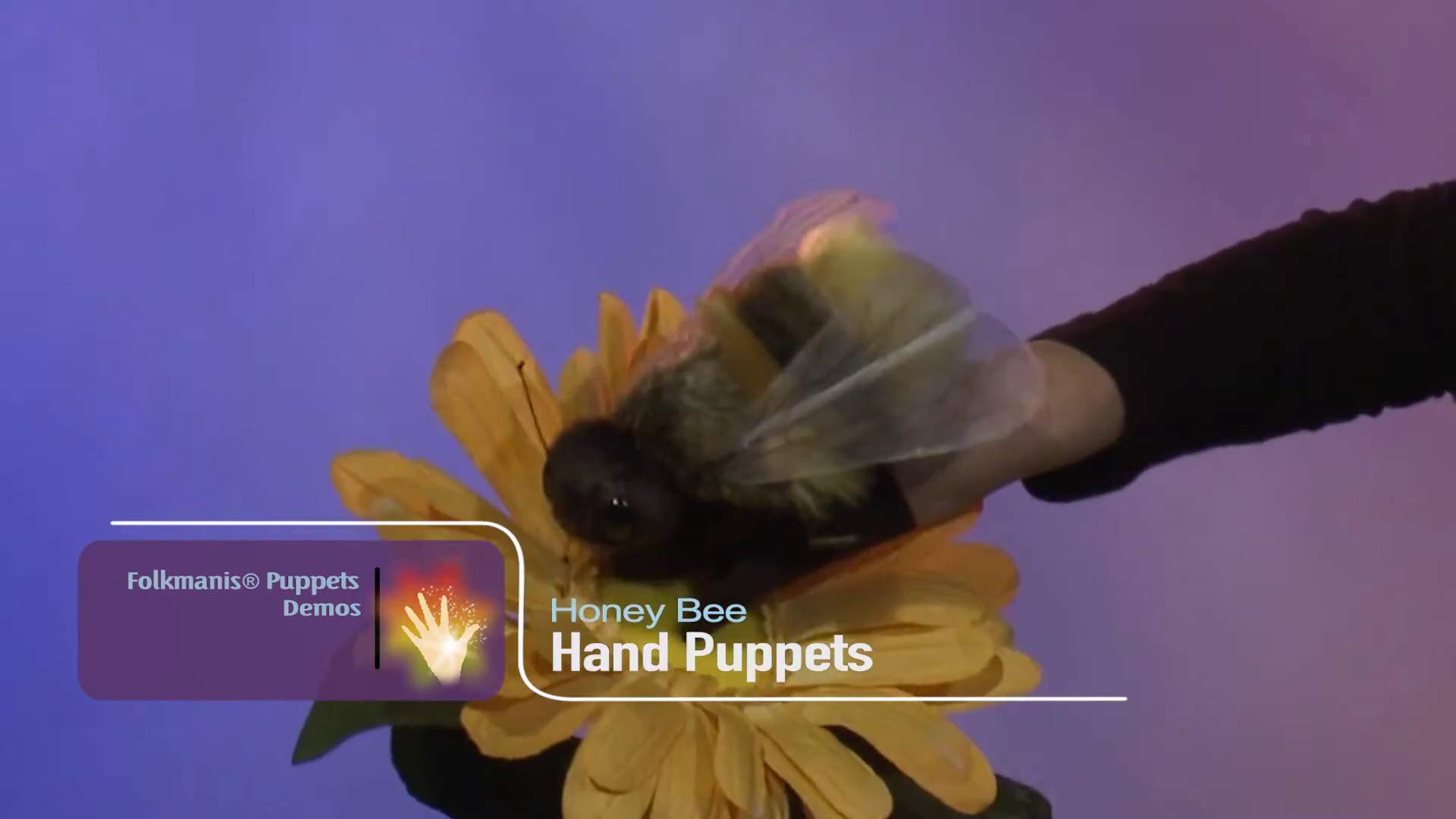 Video 1: Folkmanis Handpuppe Biene