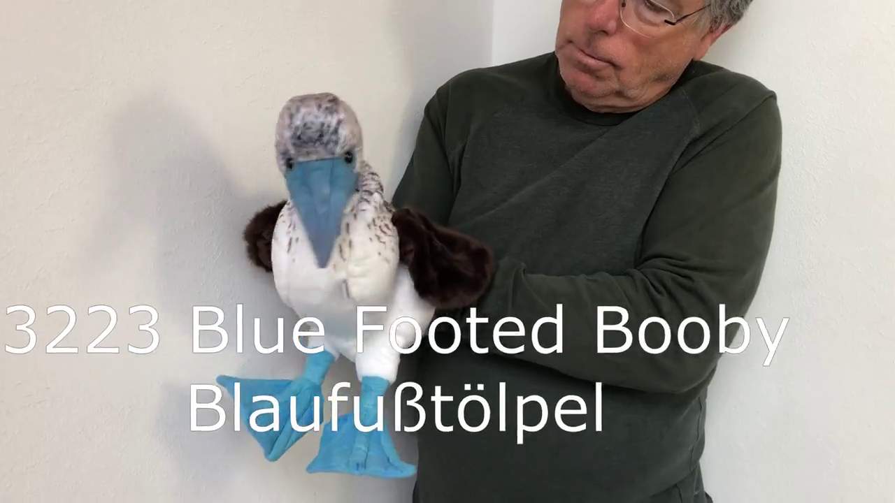 Folkmanis Handpuppe Blaufußtölpel Demo