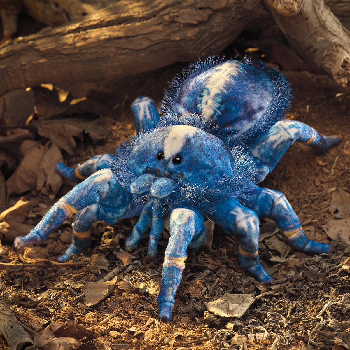 Folkmanis Handpuppe Blaue Ornament-Vogelspinne aus blau-weißem Plüsch mit acht Beinen und schwarzen Augen, Frontansicht auf Waldboden