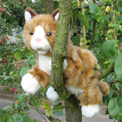 Living Puppets Handpuppe Braune Katze an einem Baumstamm im Garten