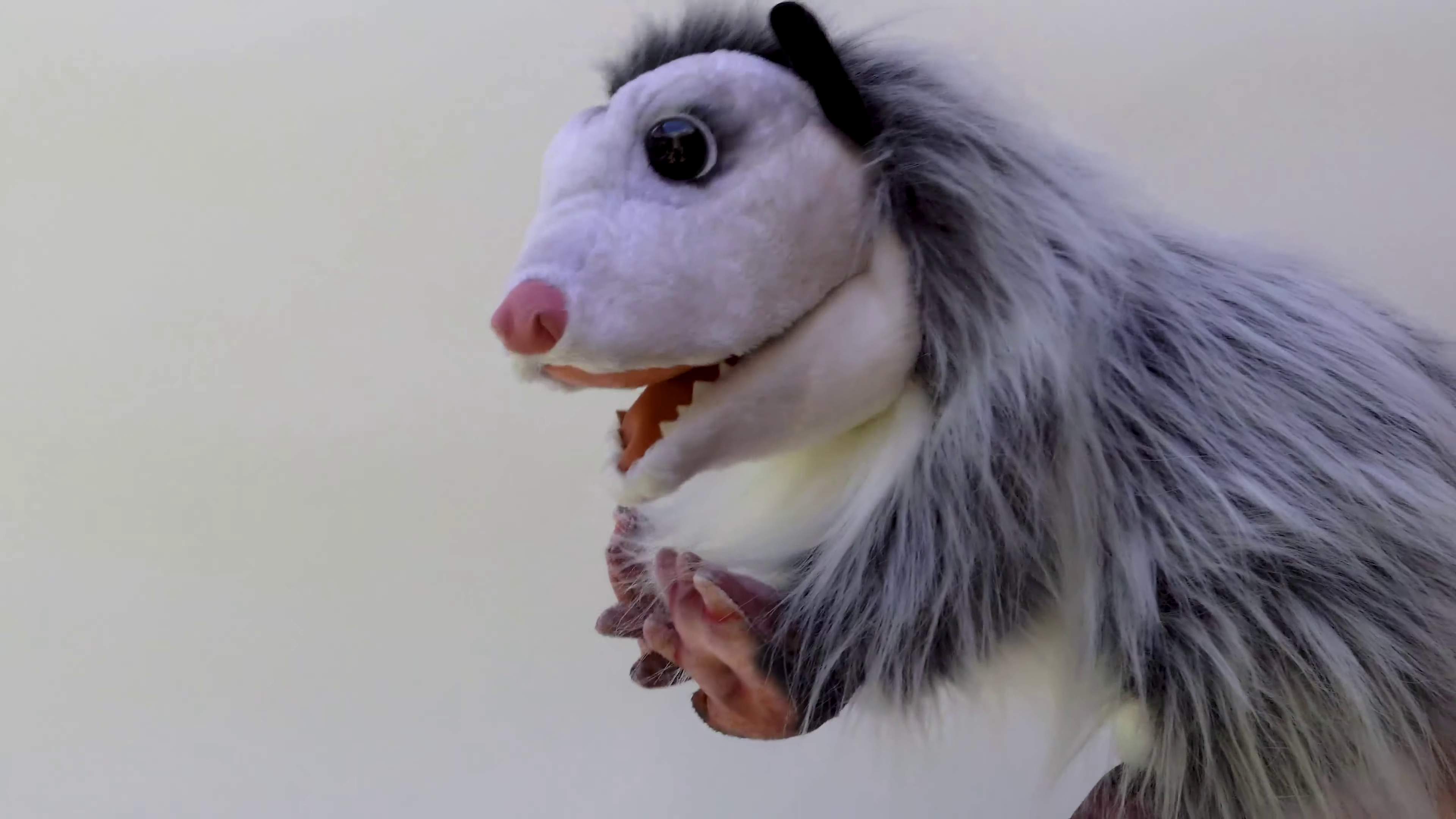 Video 1: Folkmanis Opossum Hand Puppet