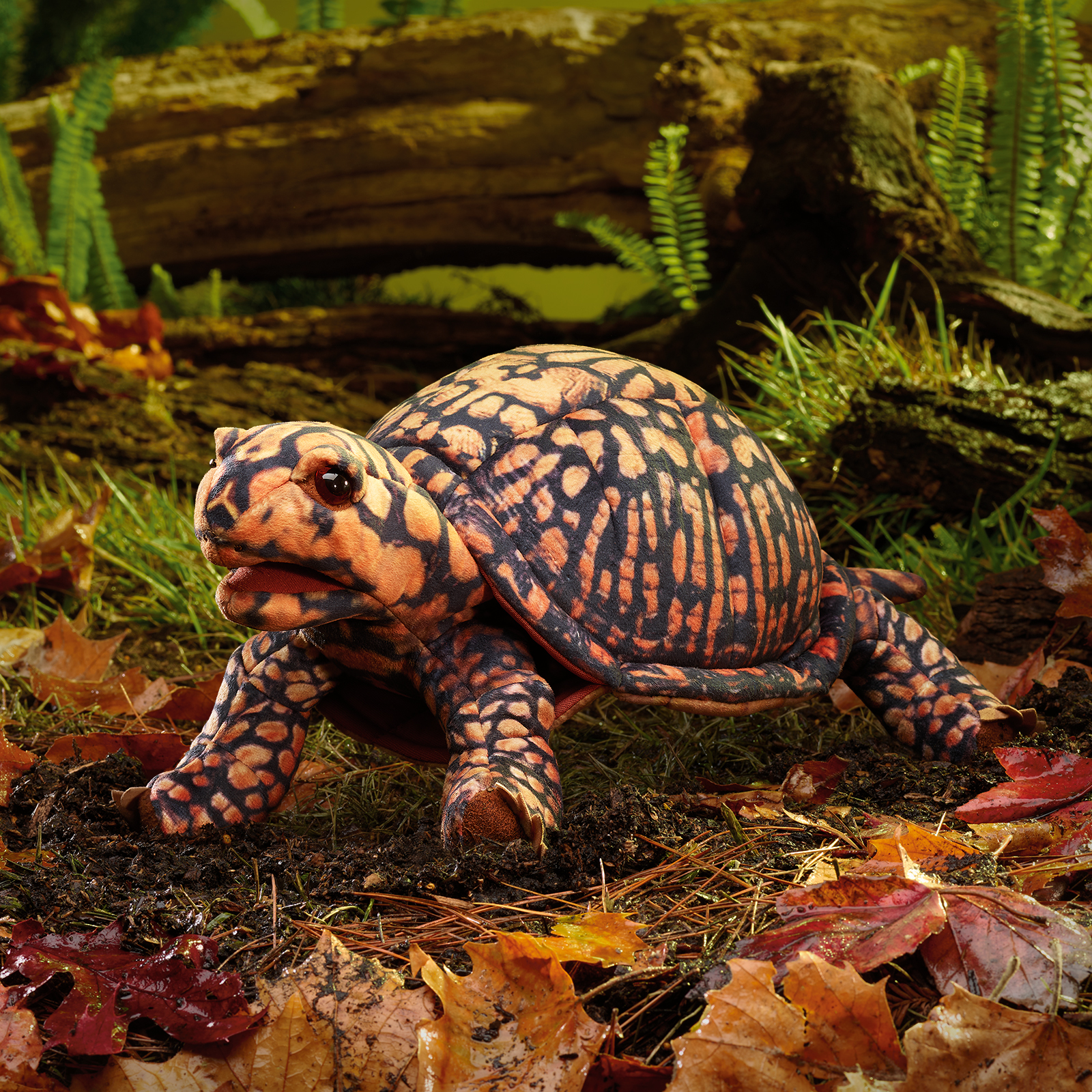 Folkmanis box turtle hand puppet with orange and black scale pattern, open mouth and detailed shell, side view on forest floor