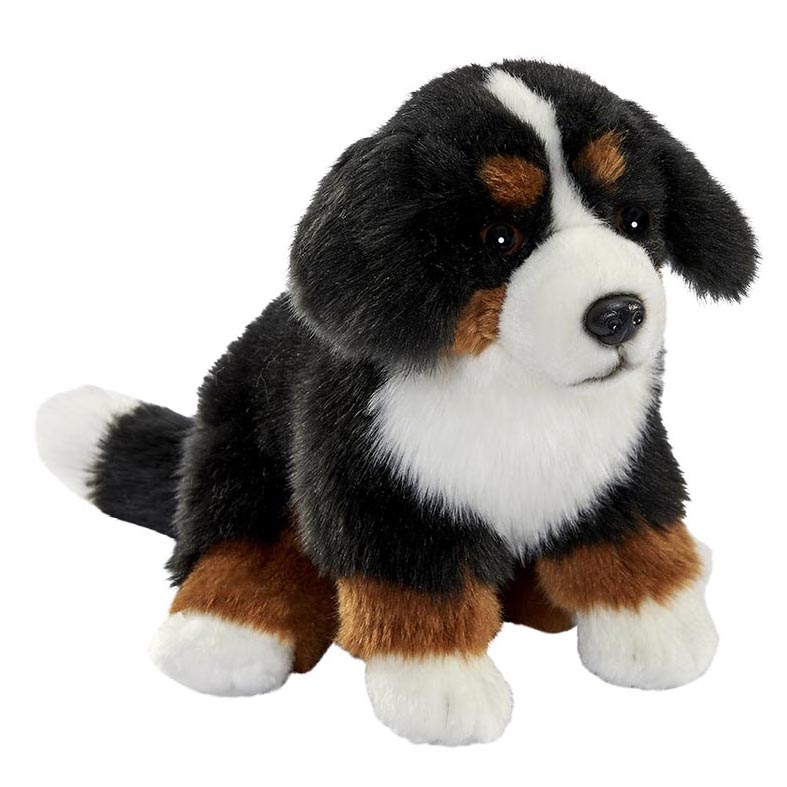 Sitzender Berner-Sennenhund-Welpe von Anima mit schwarz-weiß-braunem Fell und weißer Blesse