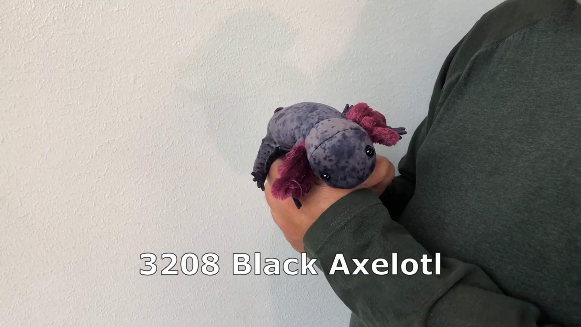 Video 1: Folkmanis Large Axolotl, Black Finger Puppet