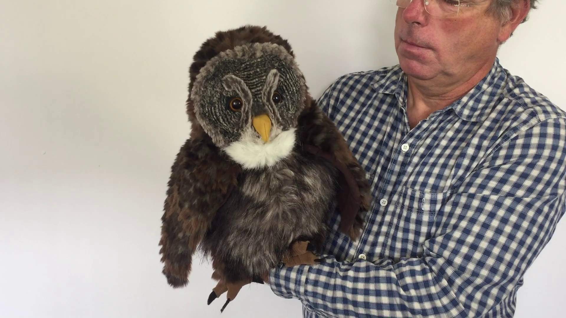 Video 1: Folkmanis Hooting Owl Hand Puppet