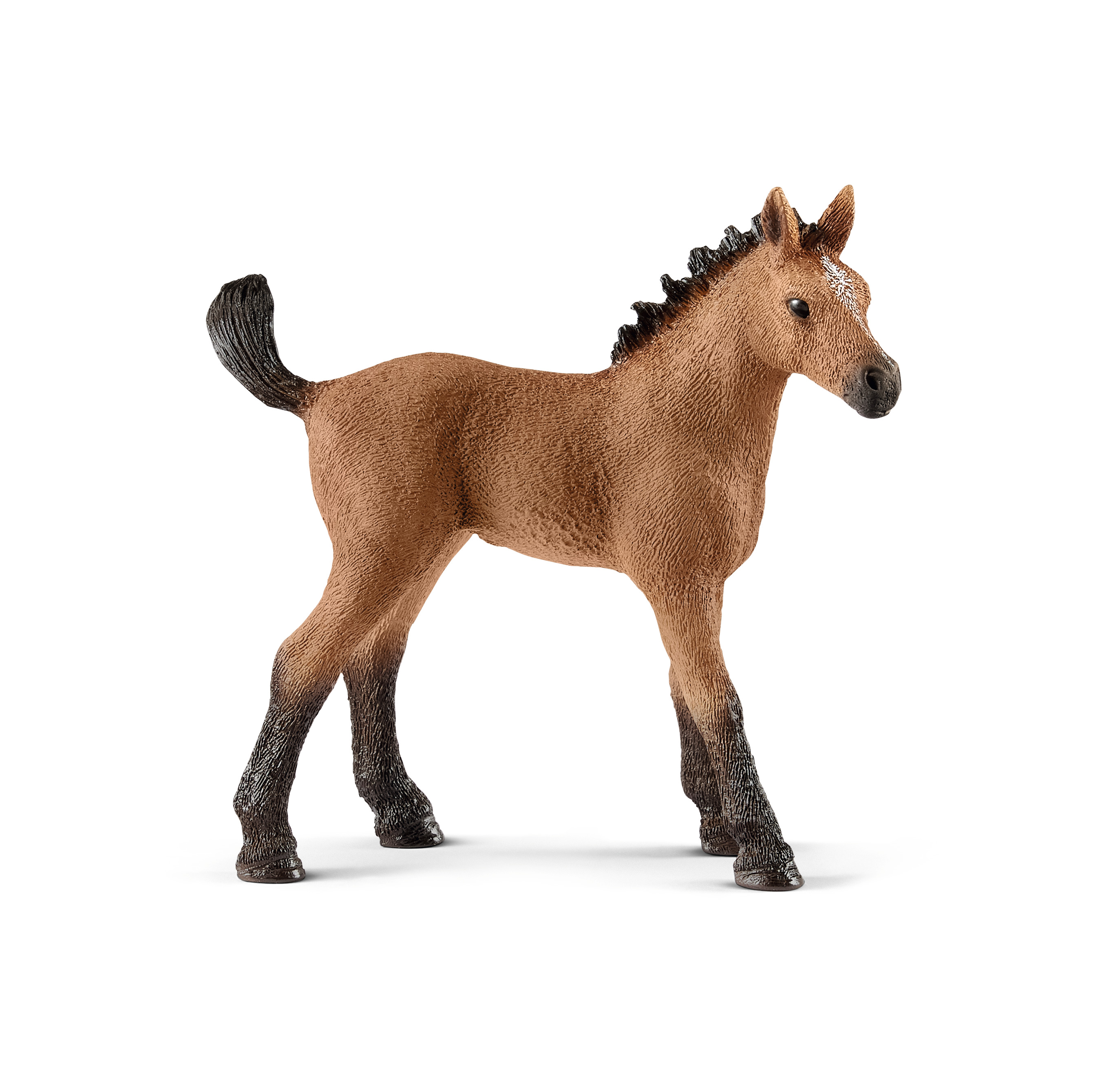 Quarter Horse Fohlen - Schleich Horse Club Quarter Horse Fohlen - Schleich Horse Club