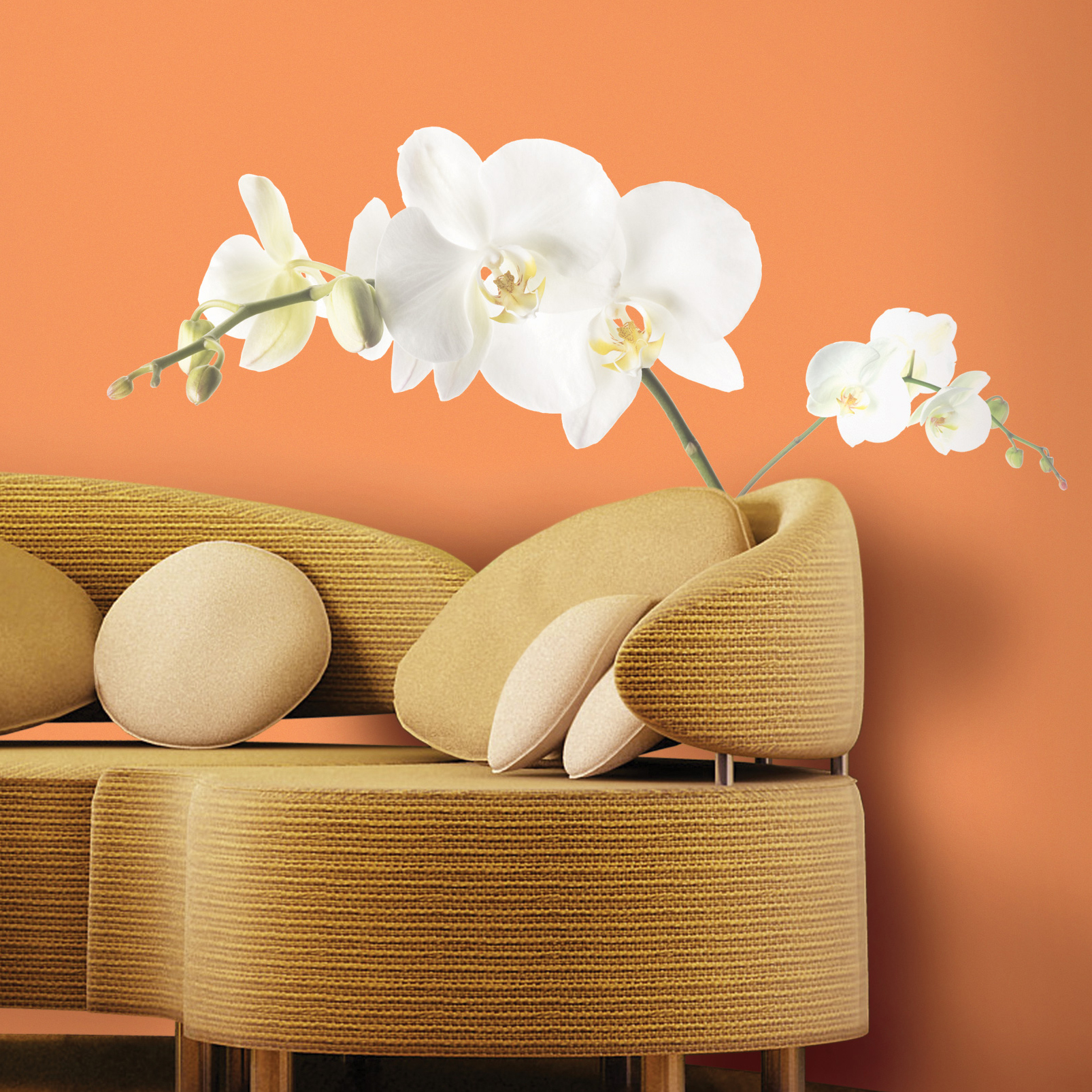 White Orchid Wandbild - RoomMates