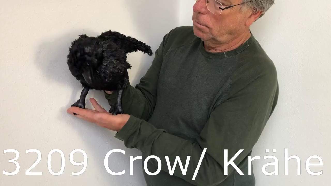 Video 1: Folkmanis Crow Hand Puppet