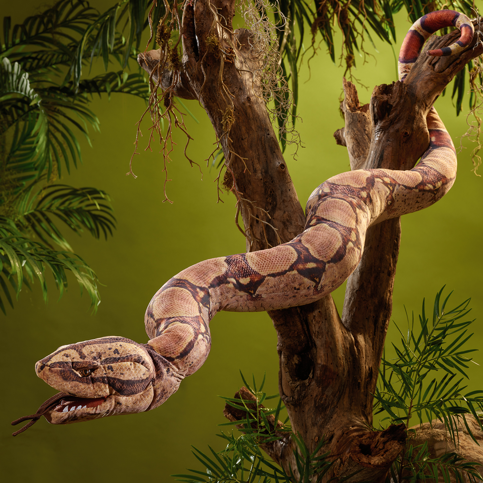 Folkmanis boa constrictor hand puppet wound around a branch, its head hanging down with the mouth open.