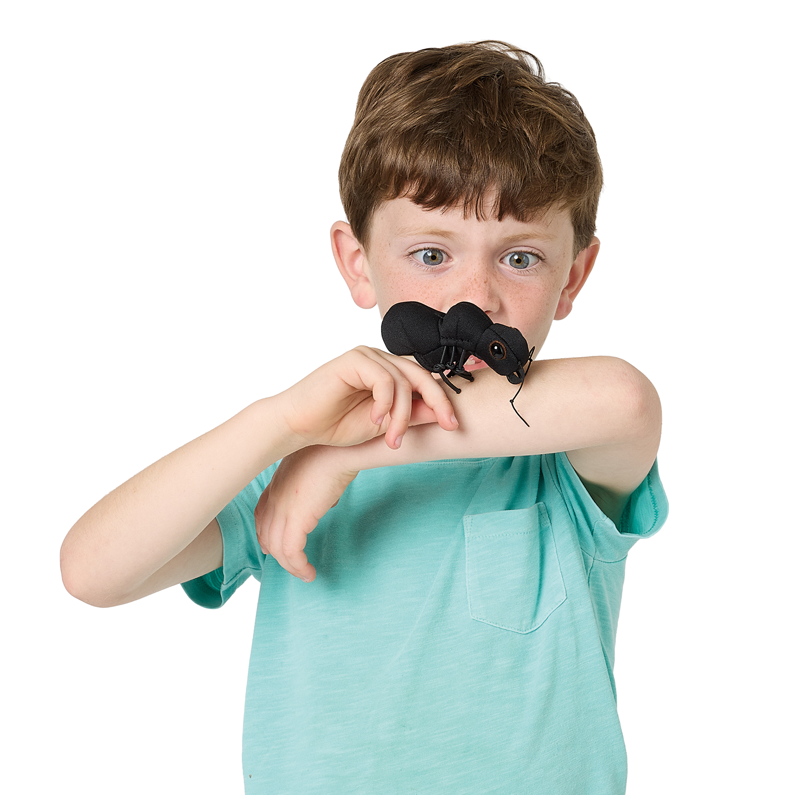 Boy wearing a black Folkmanis mini ant finger puppet on his index finger, which appears to be biting his arm