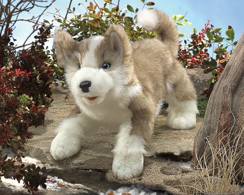 Folkmanis Handpuppe Wolfsjunges mit beigefarbenem Fell, weißer Schnauze und blauen Augen in Spielposition auf Steinen