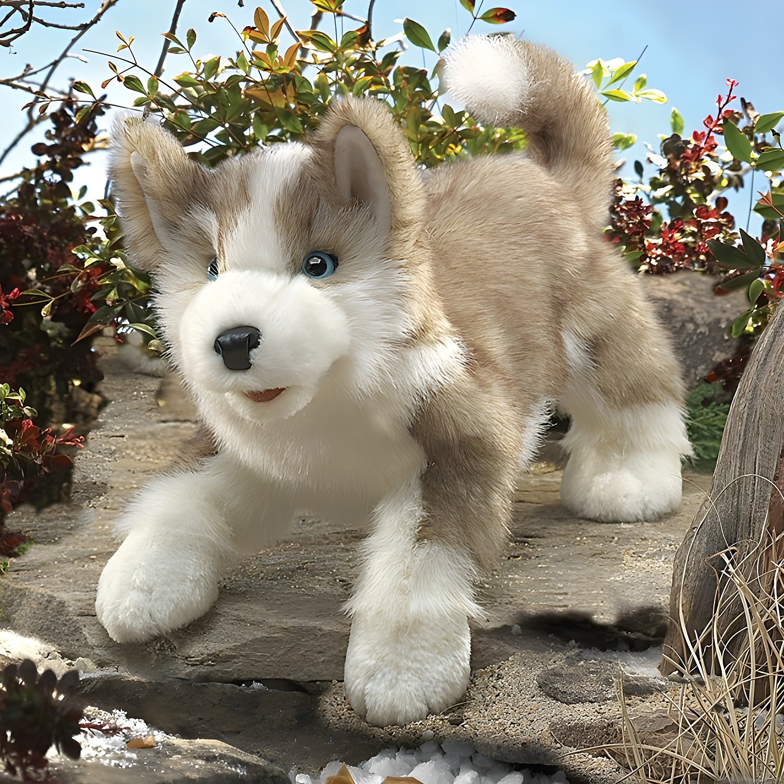 Folkmanis Handpuppe Wolfsjunges mit beigefarbenem Fell, weißer Schnauze und blauen Augen in Spielposition auf Steinen
