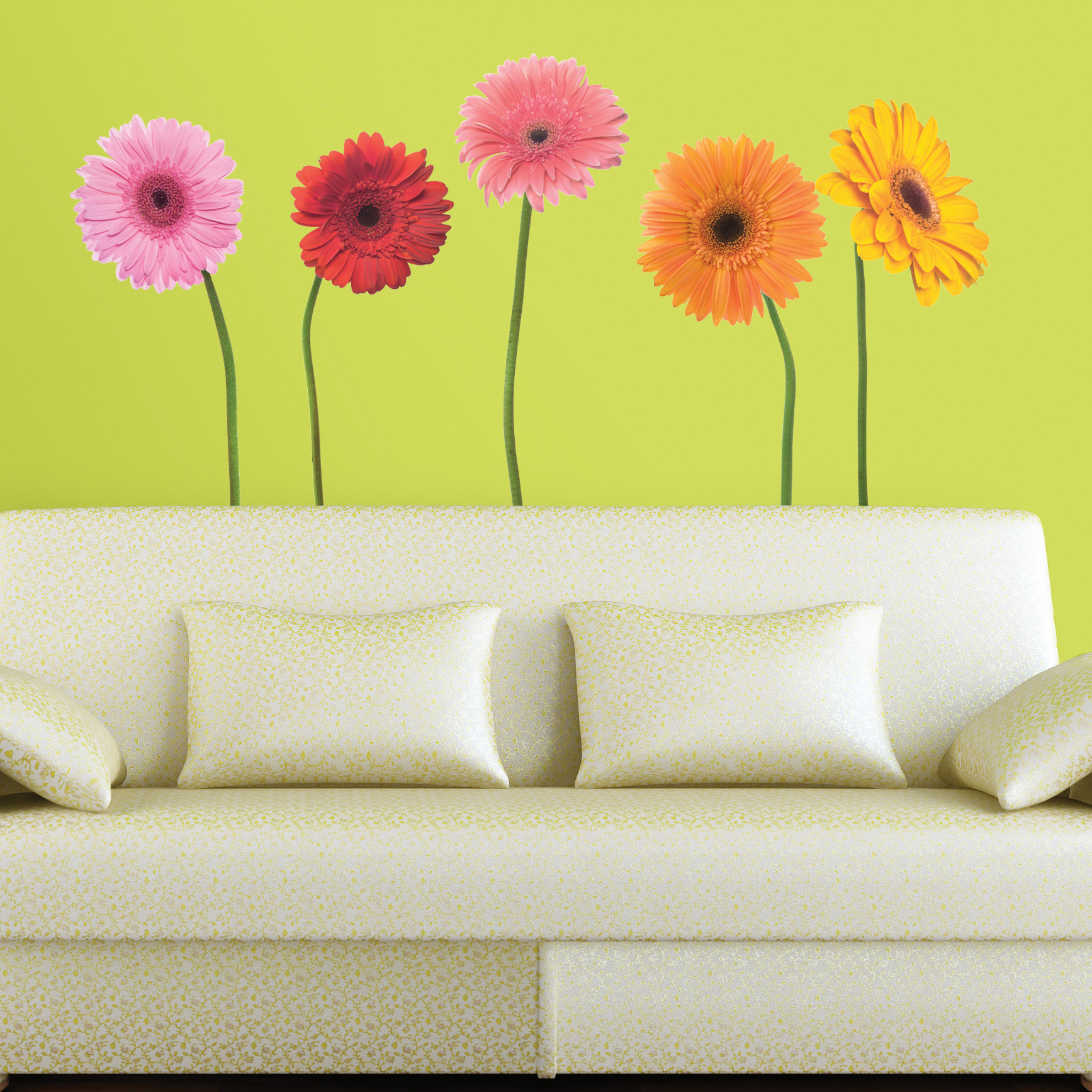 Gerber daisies mural - RoomMates