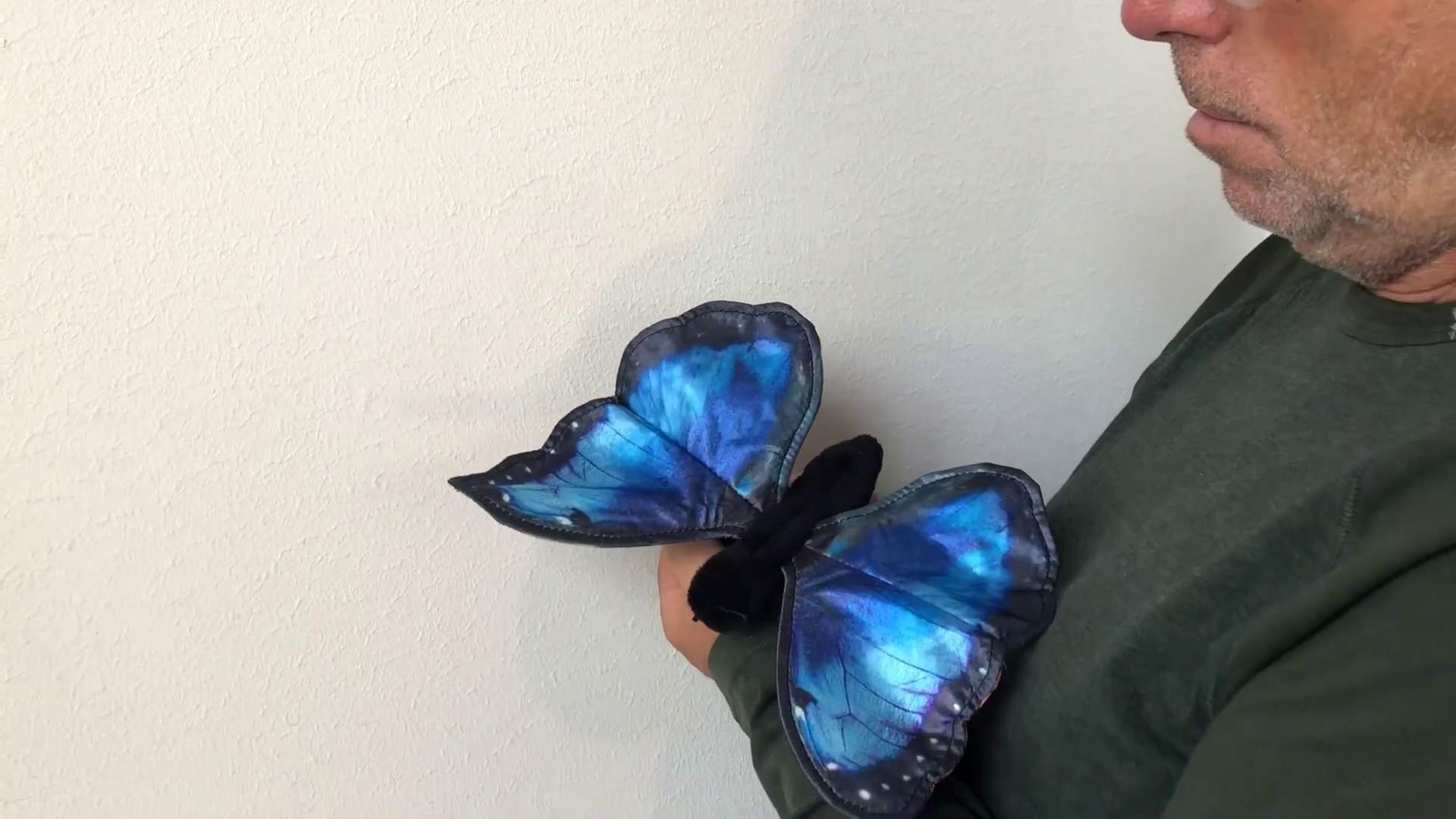 Video 1: Folkmanis Blauer Morphofalter