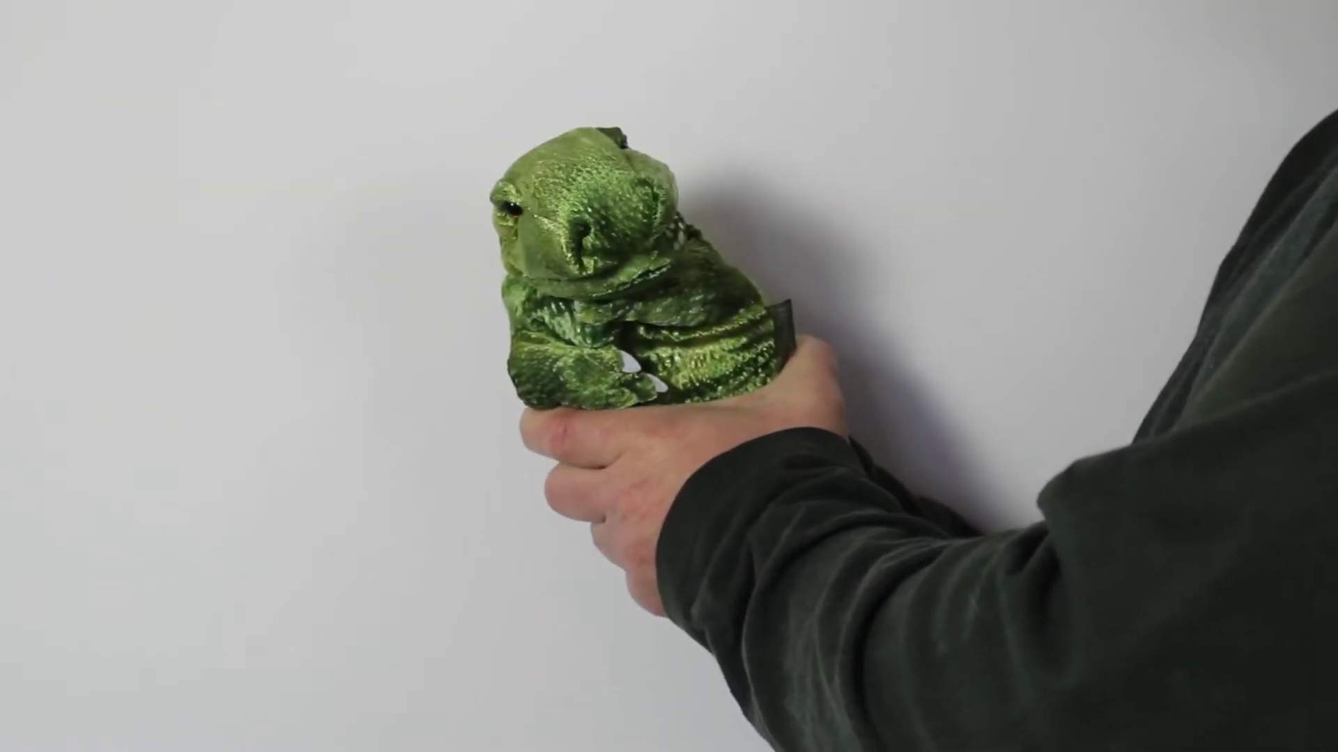 Video 1: Folkmanis Handpuppe kleiner T-Rex (kleine Stage Puppet)