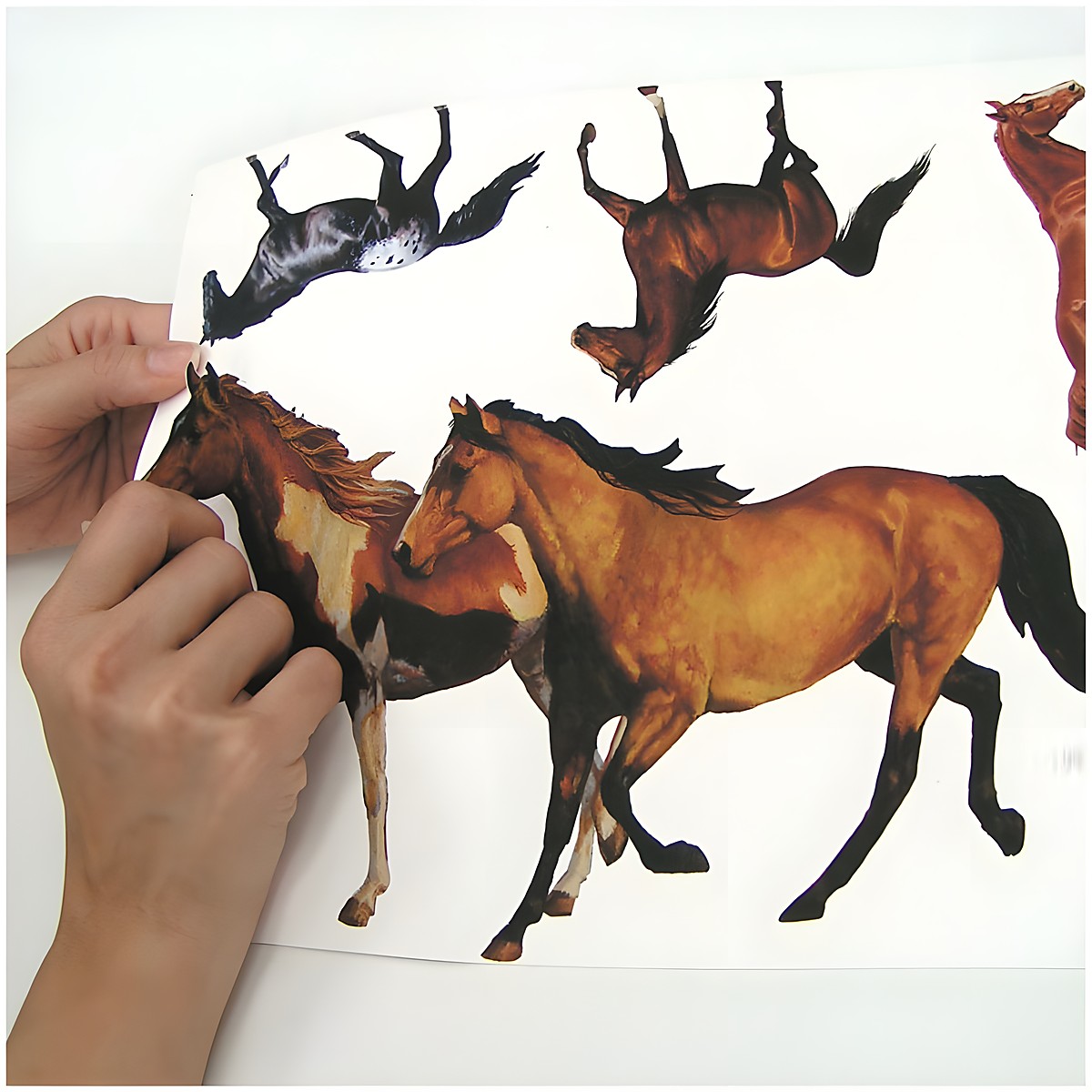 RoomMates wall decal Wild Horses, hands peeling a brown horse motif off the backing sheet, usage example