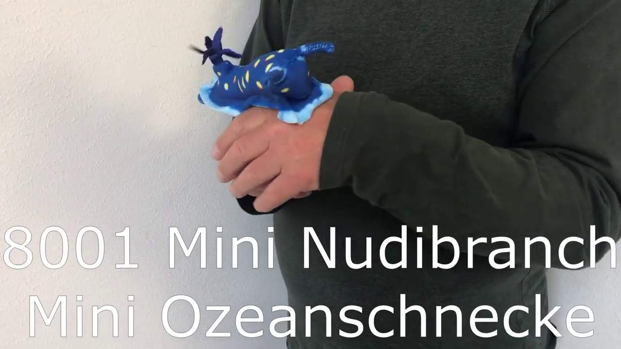Video 2: Folkmanis Mini Blue Nudibranch Finger Puppet