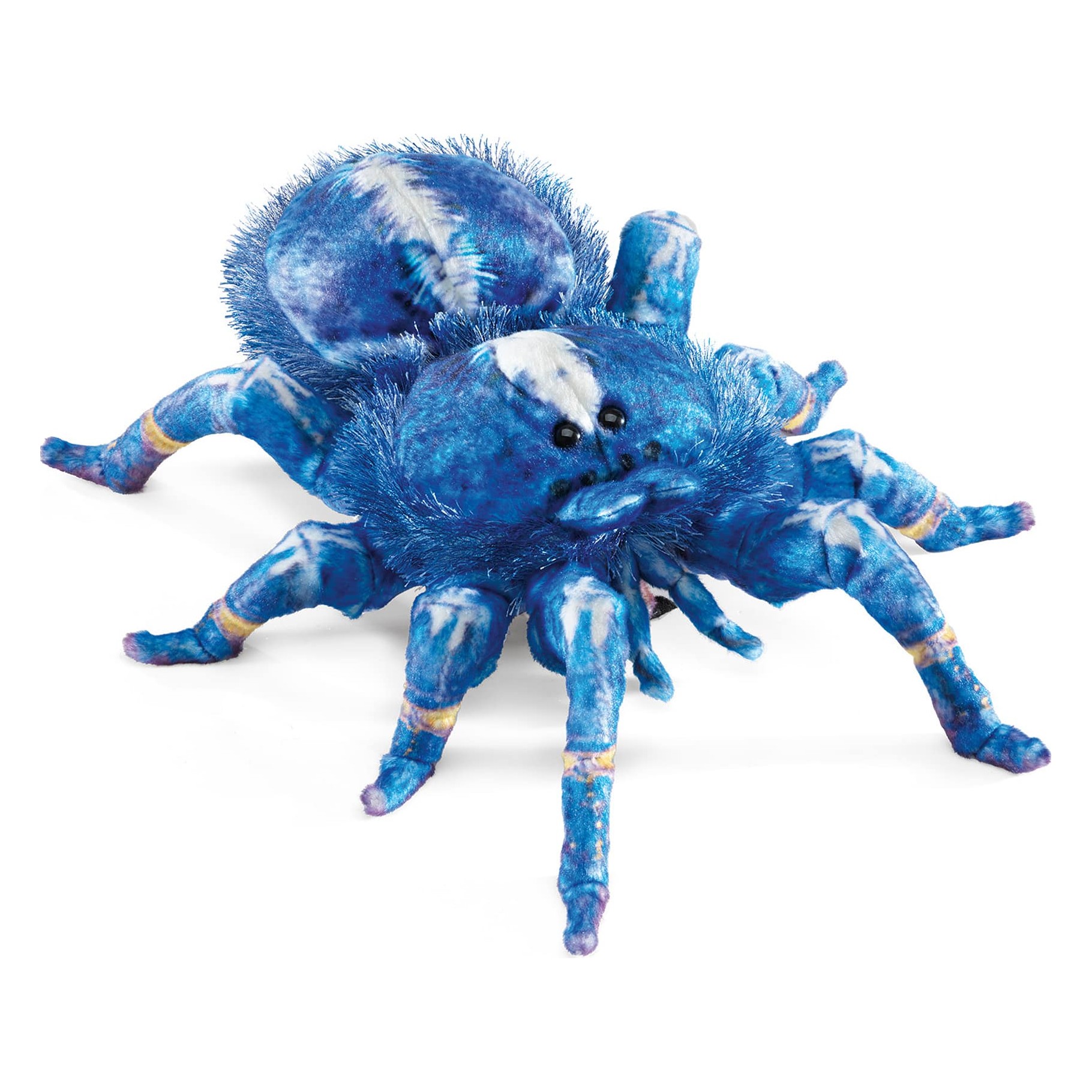 Folkmanis Handpuppe Blaue Ornament-Vogelspinne in leuchtendem Blau mit weißen Flecken, gelb-violetten Beingelenken und schwarzen Augen, Schrägansicht