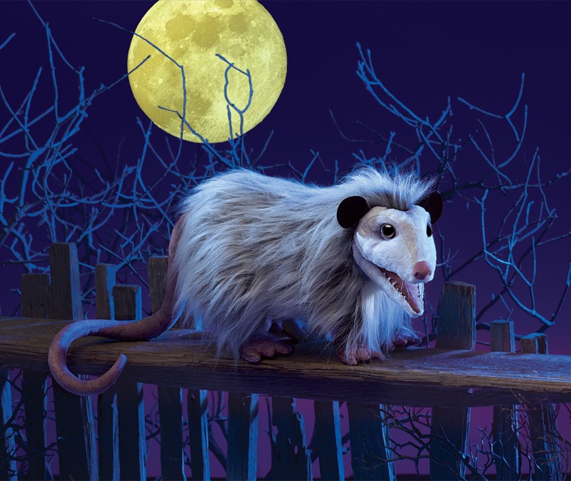 Folkmanis Handpuppe Opossum Folkmanis Handpuppe Opossum - Produktbild 4