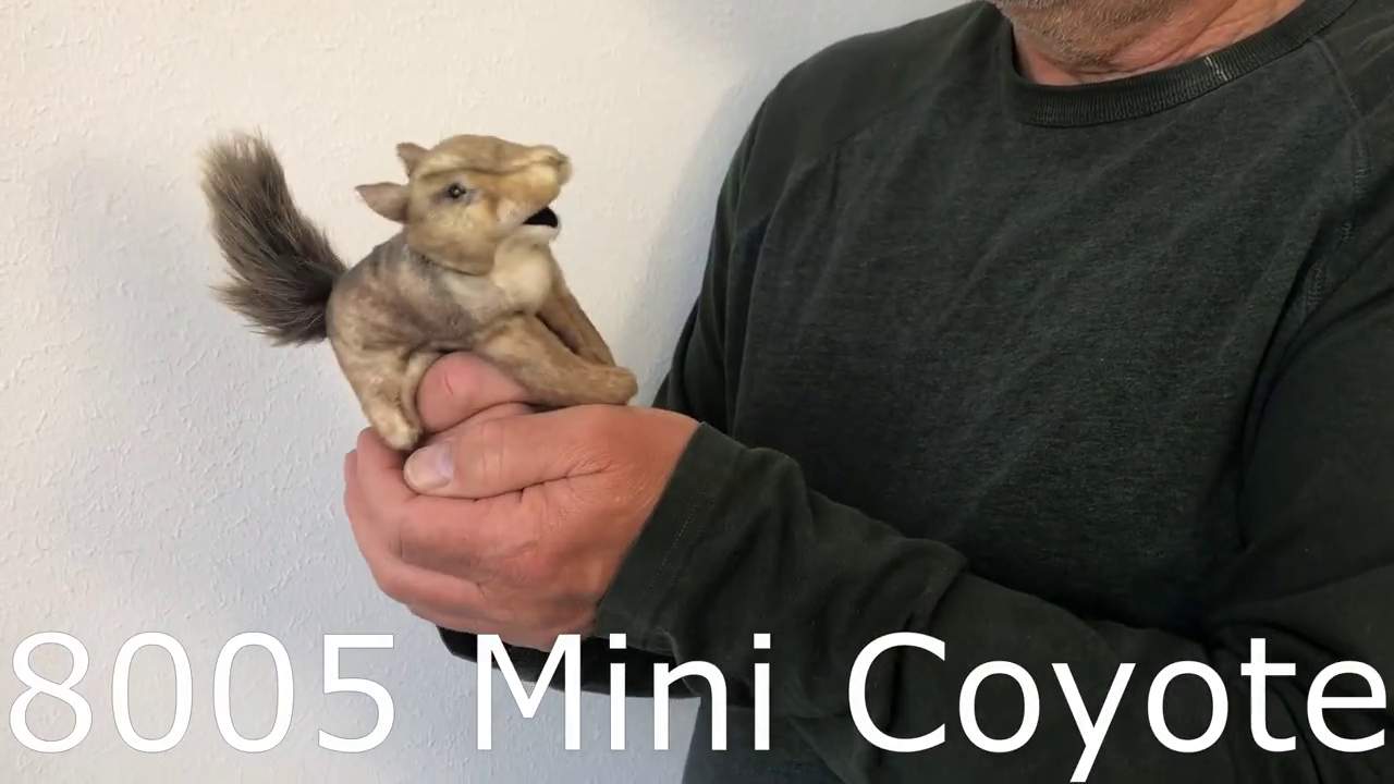 Video 2: Folkmanis Mini Coyote Finger Puppet