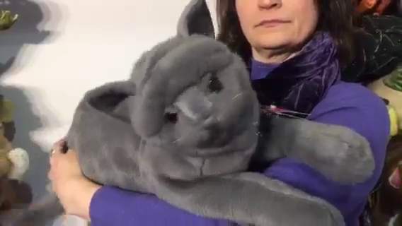 Video 1: Folkmanis Purring Cat Hand Puppet