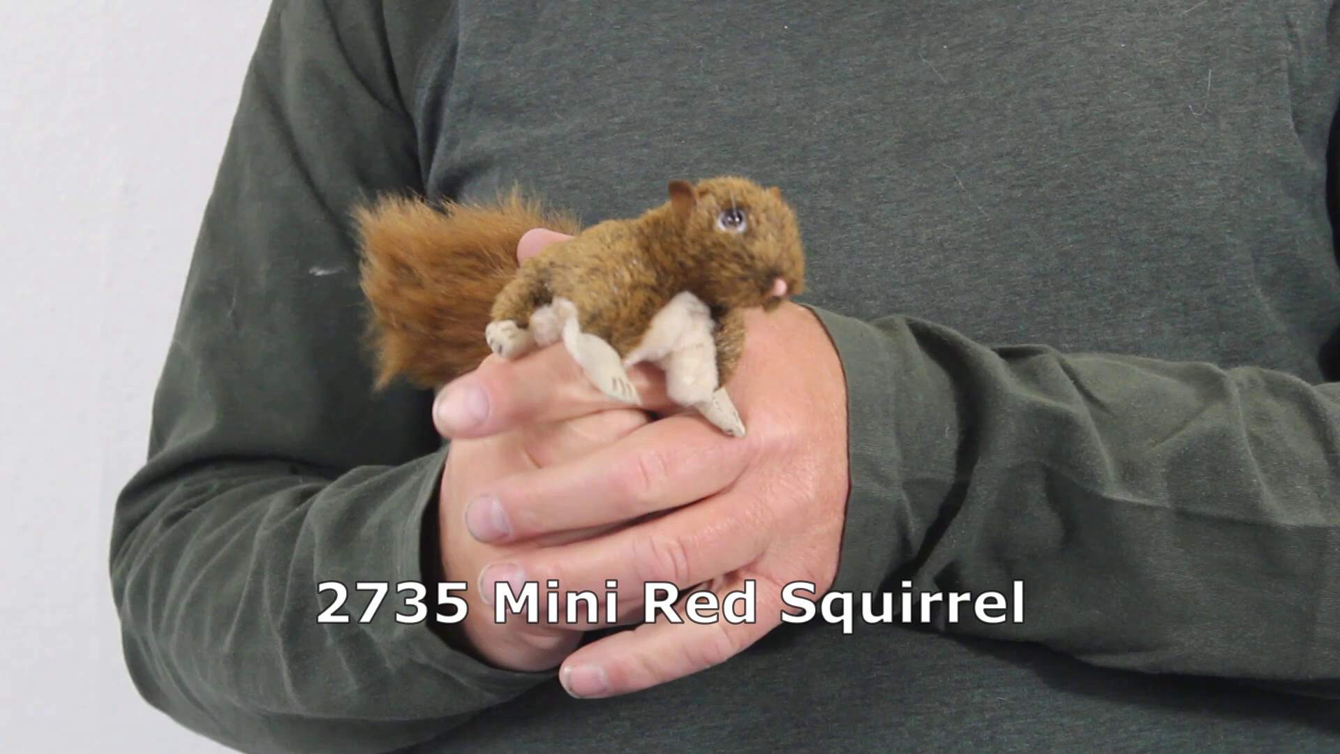 Video 1: Folkmanis Mini Red Squirrel Finger Puppet