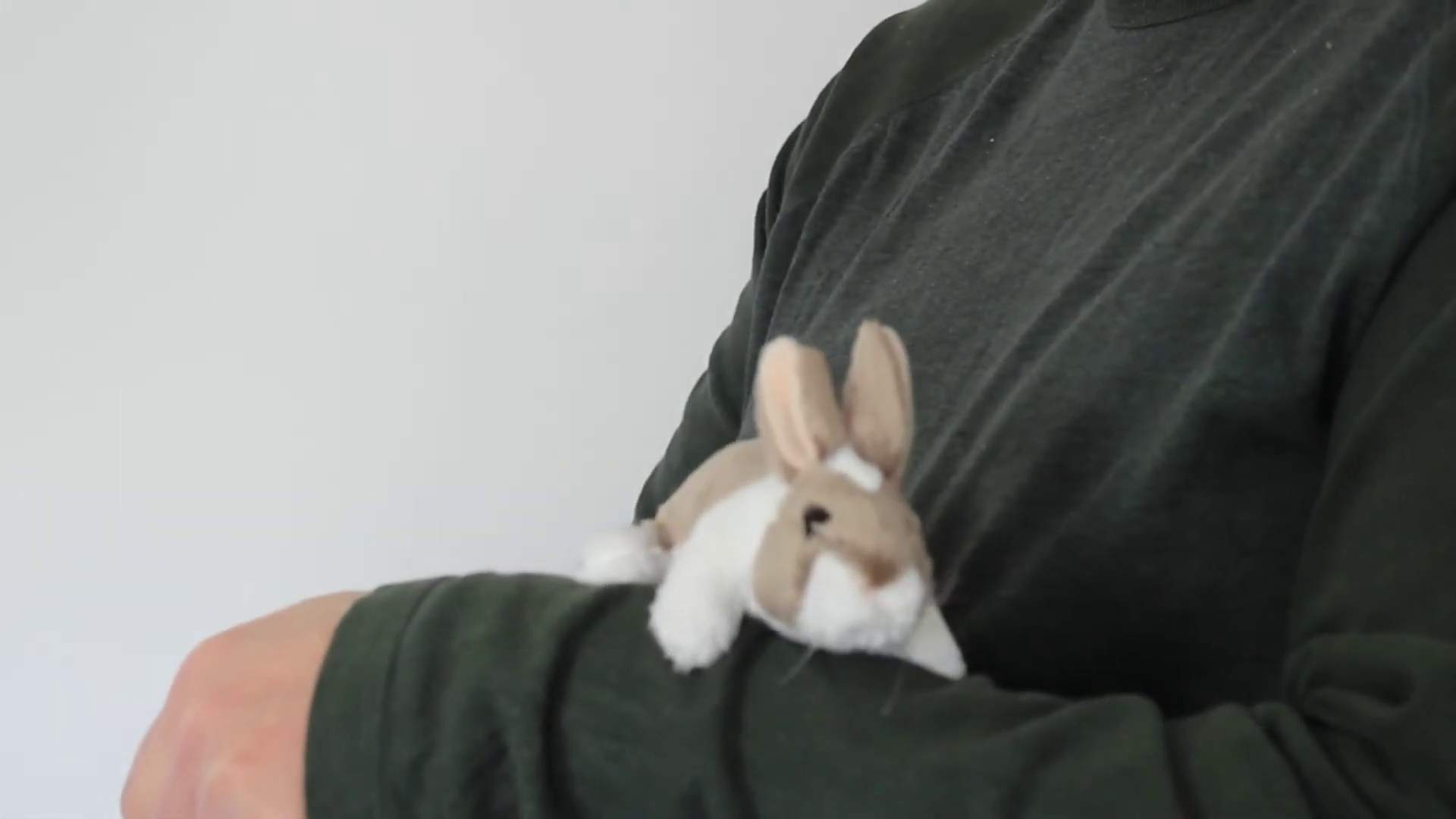 Video 1: Folkmanis Mini Rabbit Finger Puppet