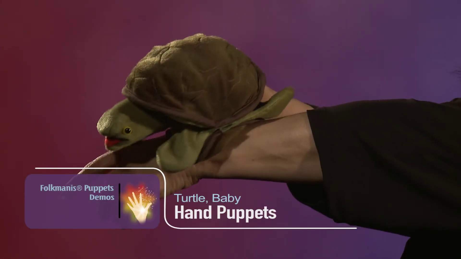 Video 1: Folkmanis Handpuppe Baby Schildkröte