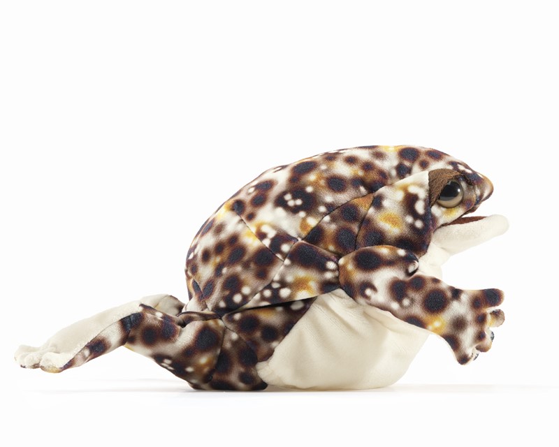 Folkmanis Handpuppe Wüstenregenfrosch Folkmanis Handpuppe Wüstenregenfrosch - Produktbild 3