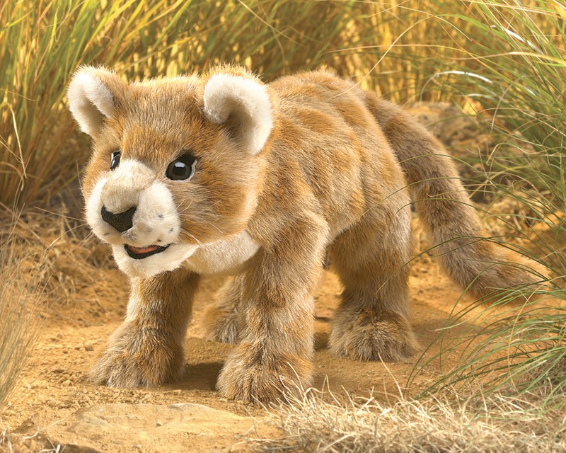 Folkmanis Handpuppe Löwenbaby aus goldfarbenem Plüsch, stehend, mit hellem Schnauzenbereich und schwarzen Augen, Seitenansicht