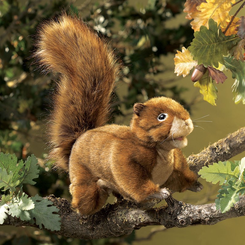 Folkmanis hand puppet red-brown squirrel with a bushy tail sitting on a branch among oak leaves