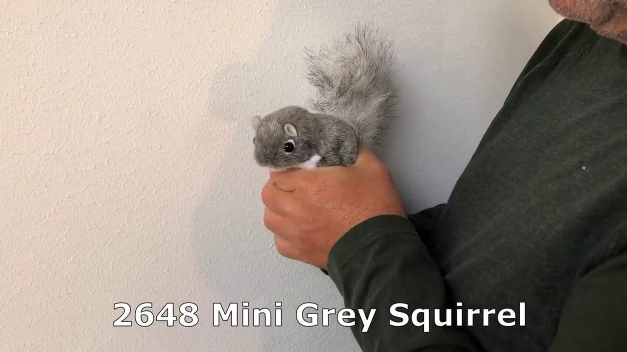 Video 1: Folkmanis Mini Grey Squirrel Finger Puppet