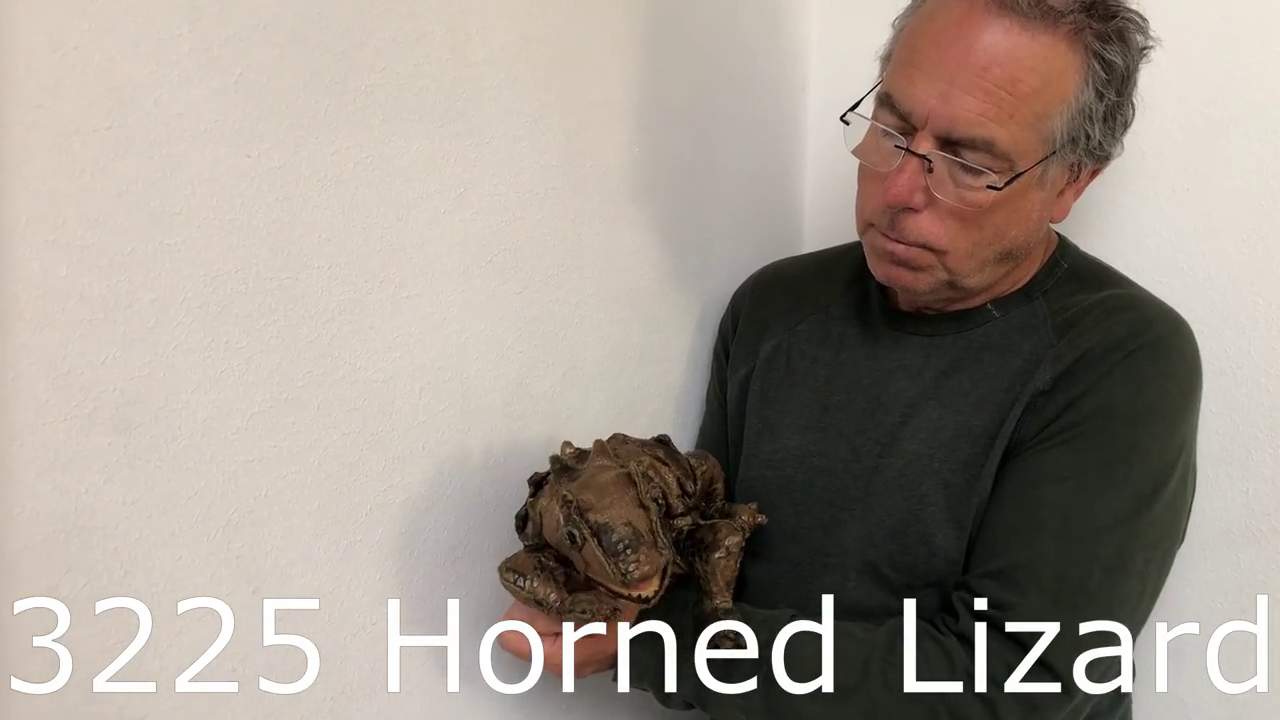 Video 1: Folkmanis Handpuppe Hornkrötenechse