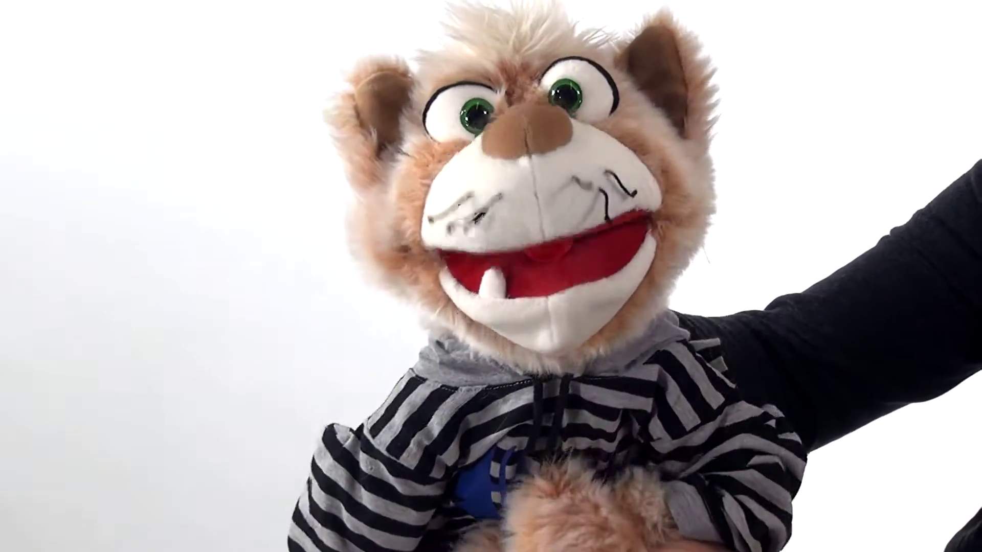 Video 1: Living Puppets hand puppet Wisky the cat