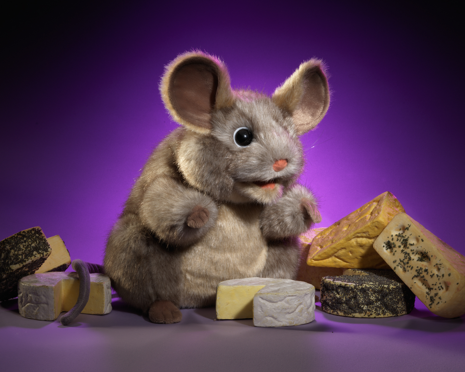 Folkmanis grey mouse hand puppet with large ears, set against a purple background and surrounded by various types of cheese