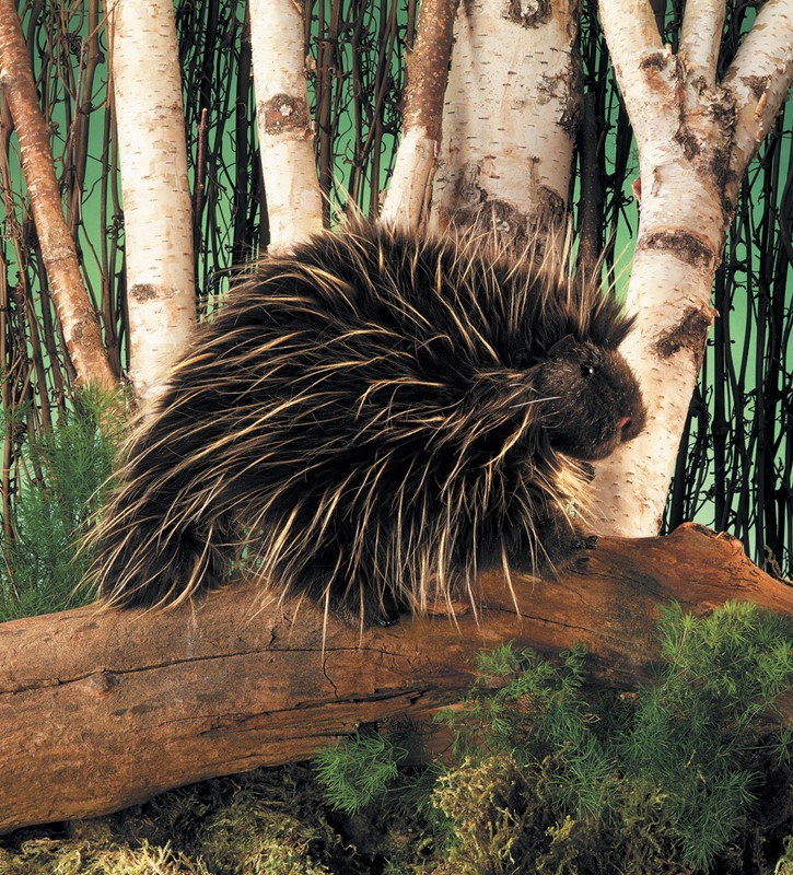 Folkmanis hand puppet porcupine with dark brown fur and beige-black quills, posed sideways on a log in front of a birch forest backdrop