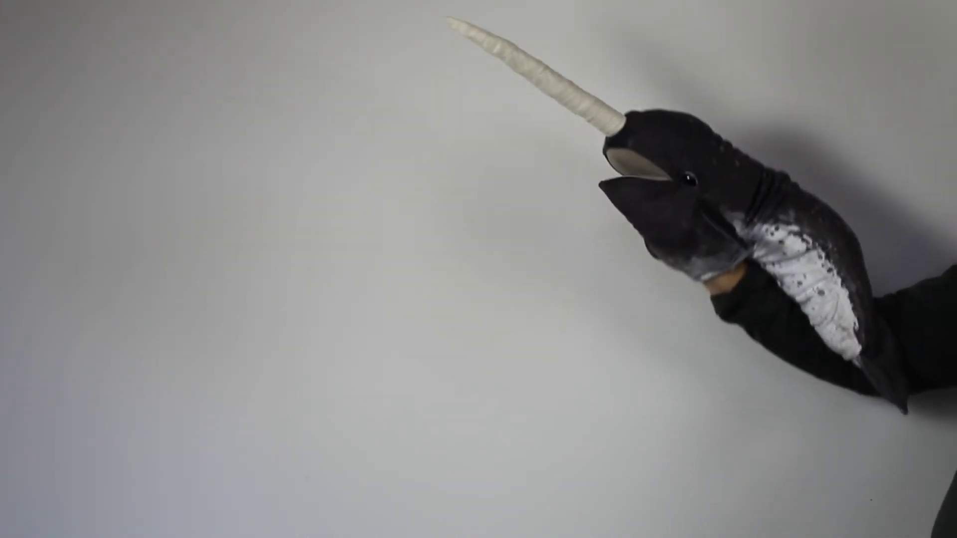 Video 1: Folkmanis Handpuppe Narwal