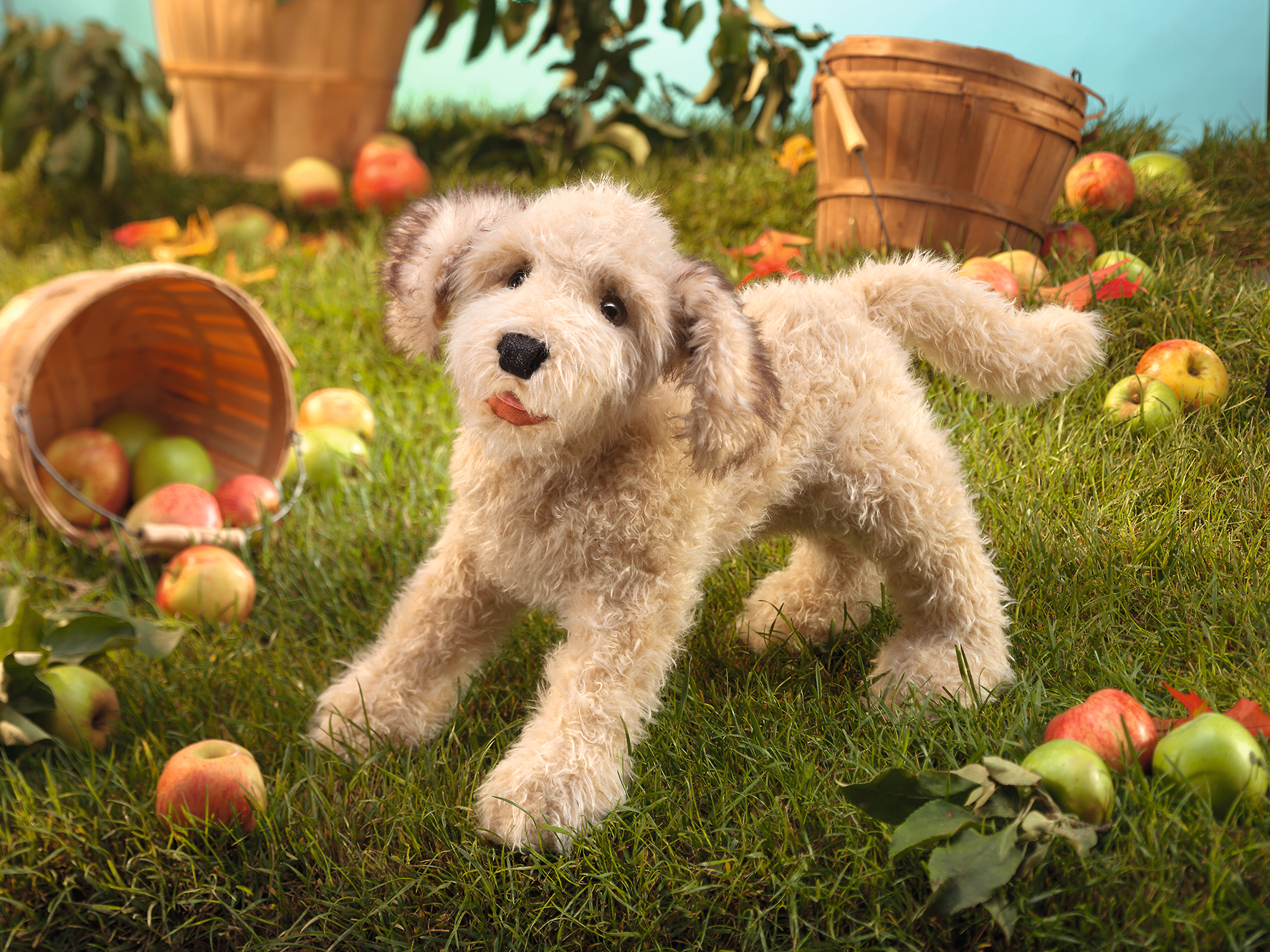 Folkmanis Labradoodle hand puppet with curly cream fur and tongue out, standing on grass among apples and wooden baskets
