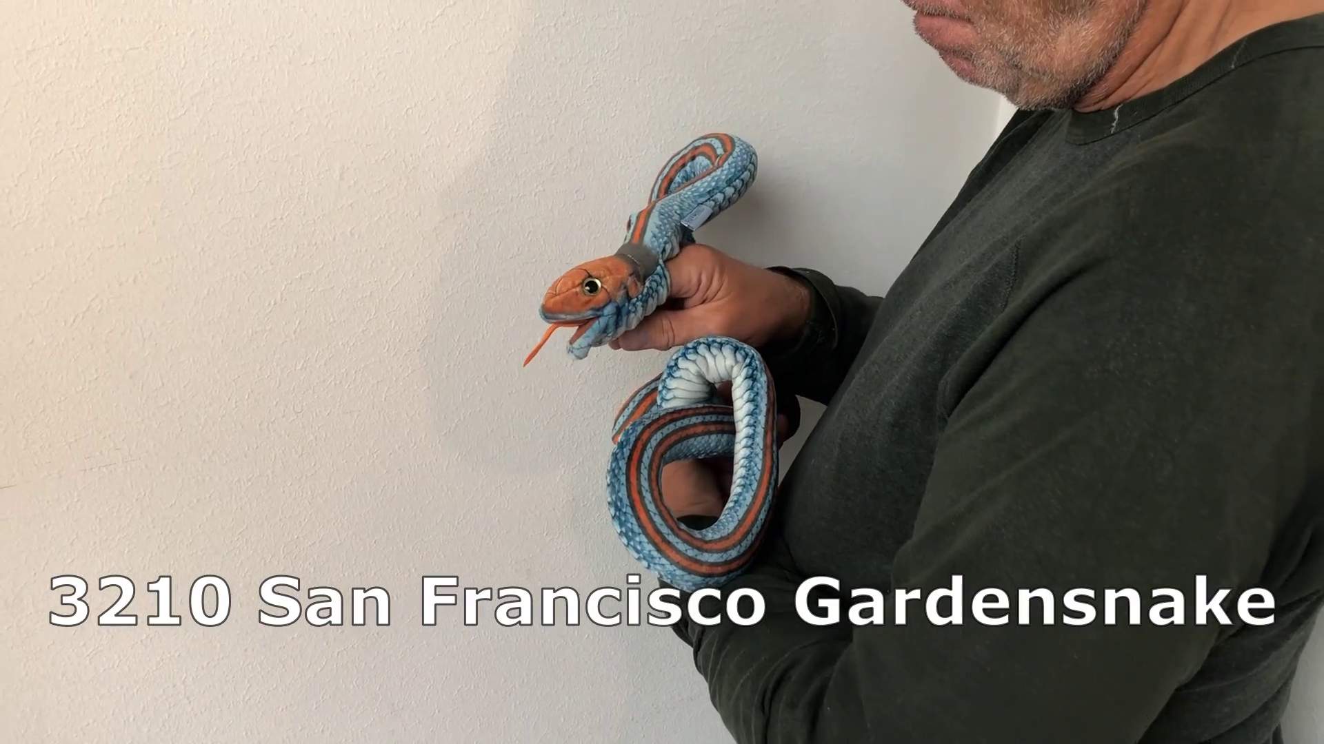 Video 1: Folkmanis Giant San Francisco Garter Snake Finger Puppet