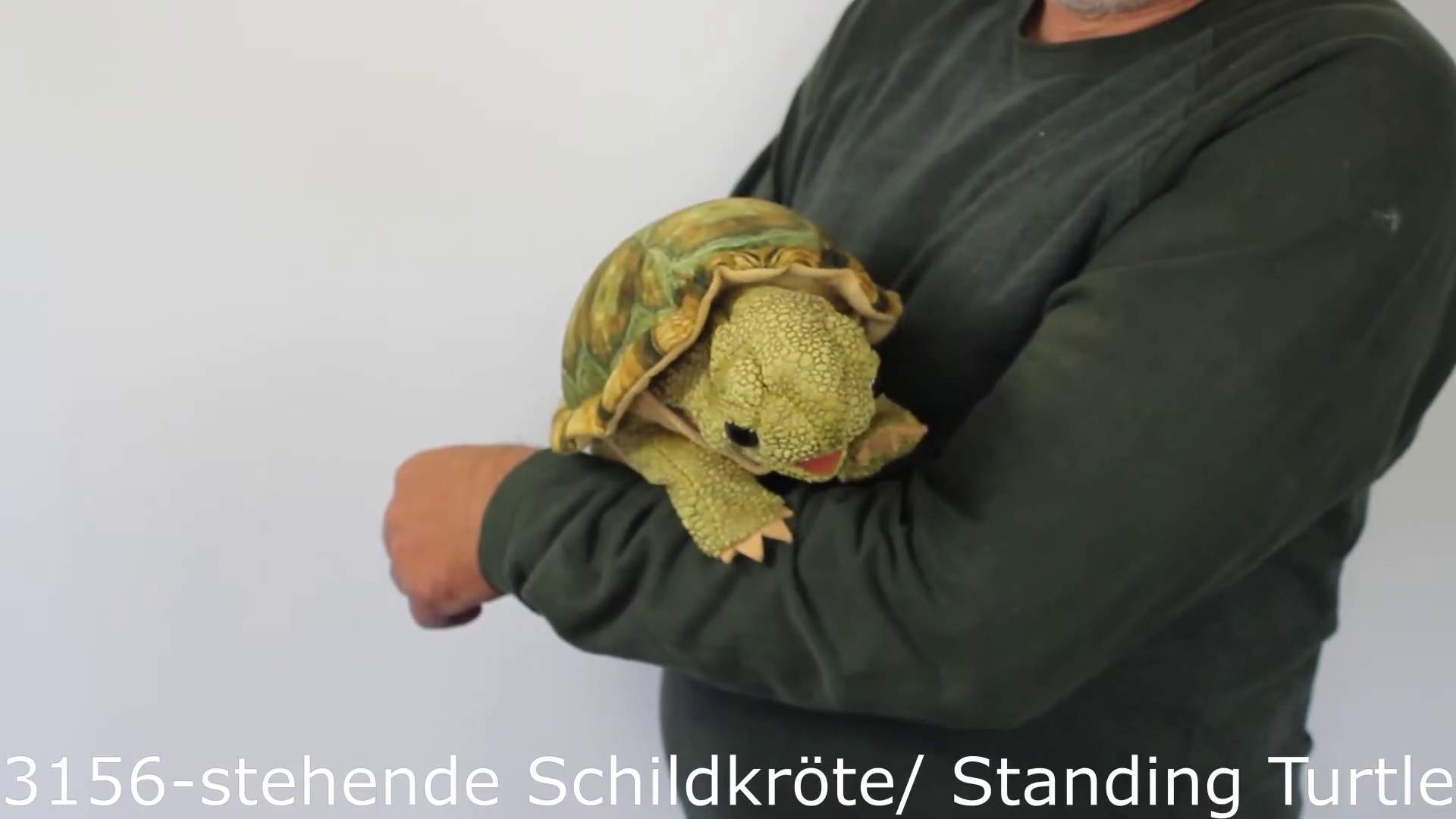 Video 1: Folkmanis Standing Tortoise Hand Puppet
