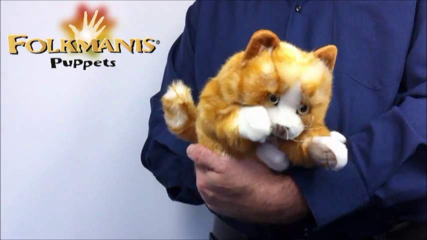Video 2: Folkmanis Handpuppe Kätzchen orange-braun